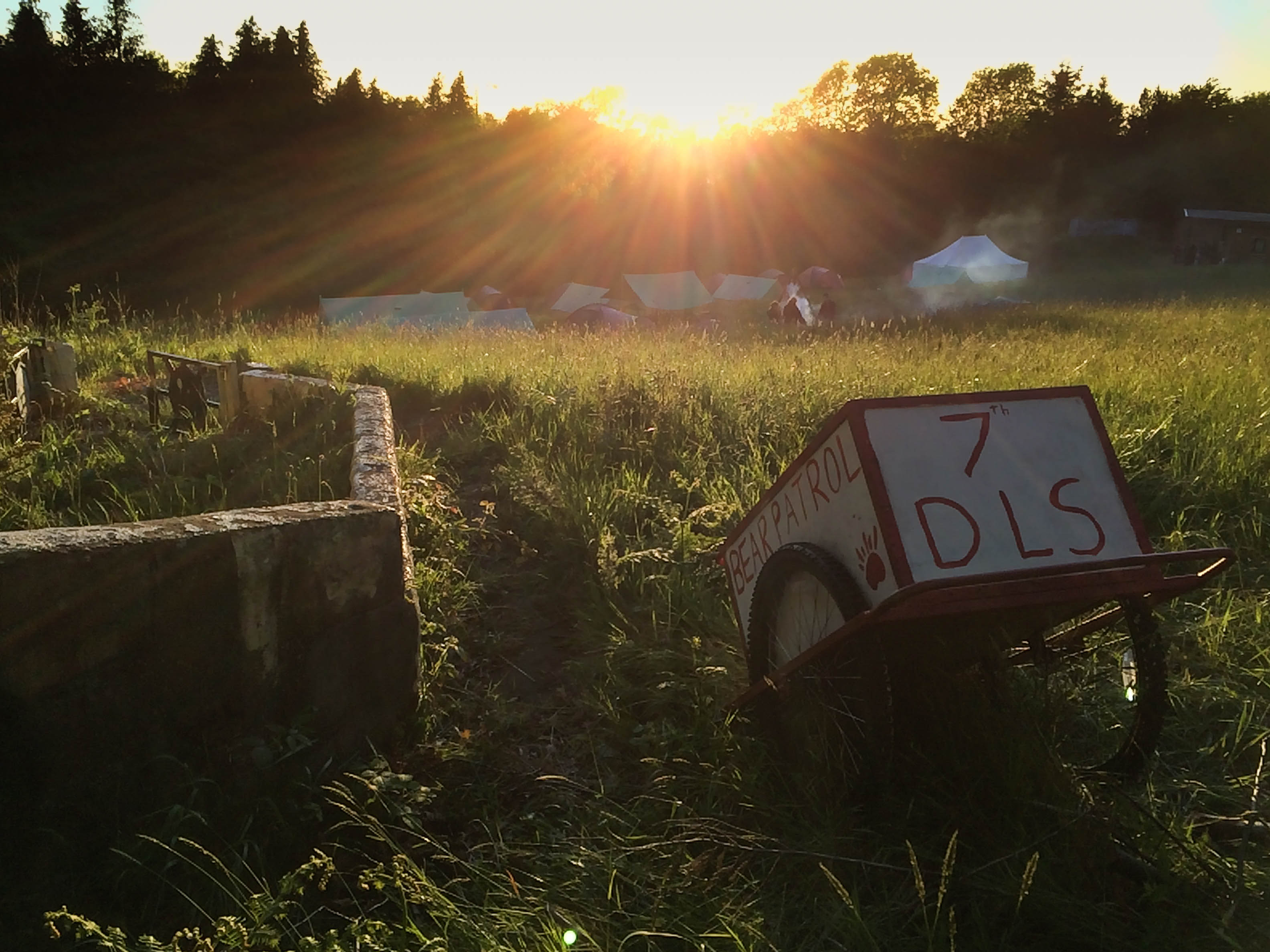 A Brief Glimpse of Summer