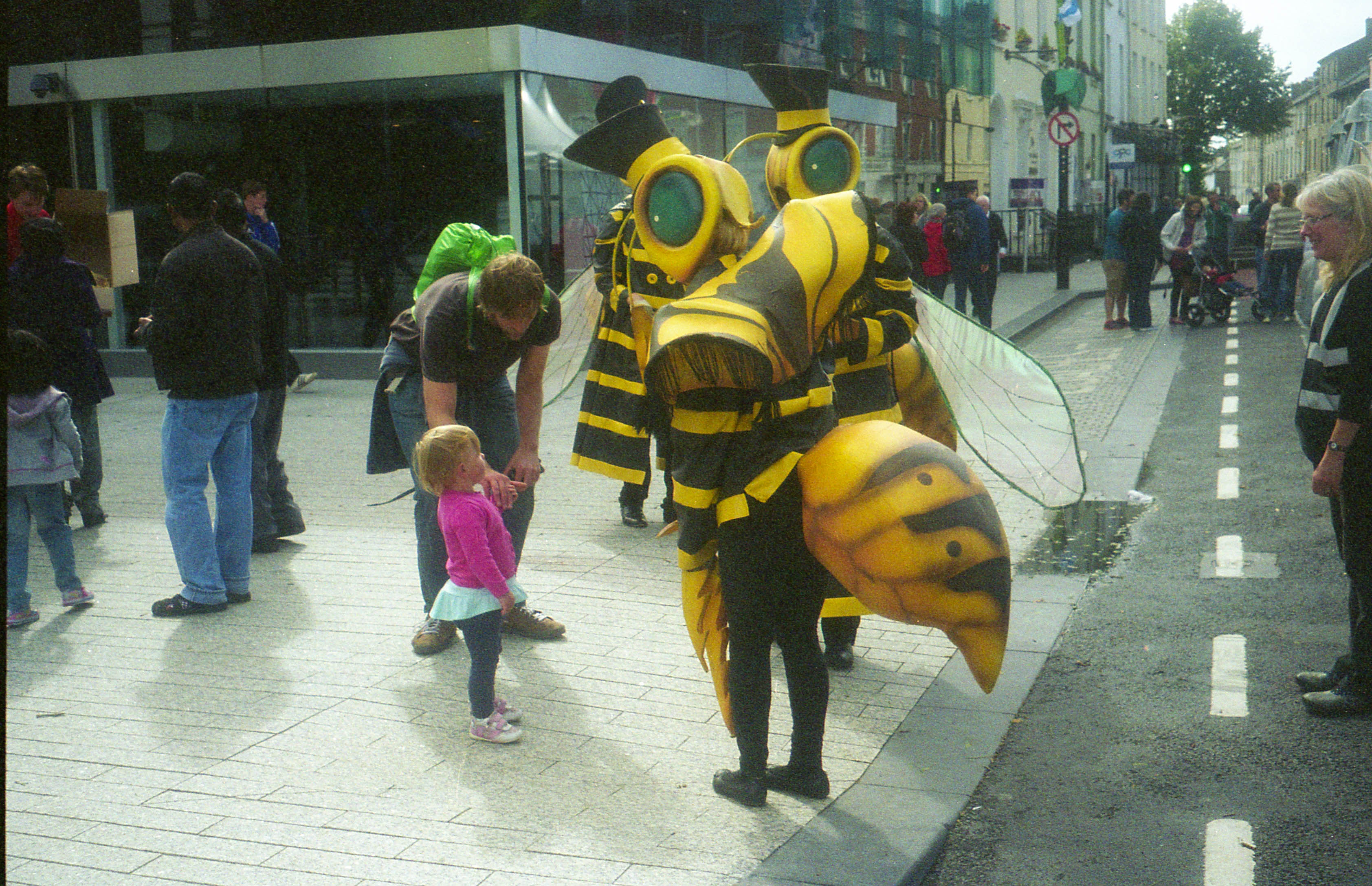 A Child and Wasps This Cant End Well