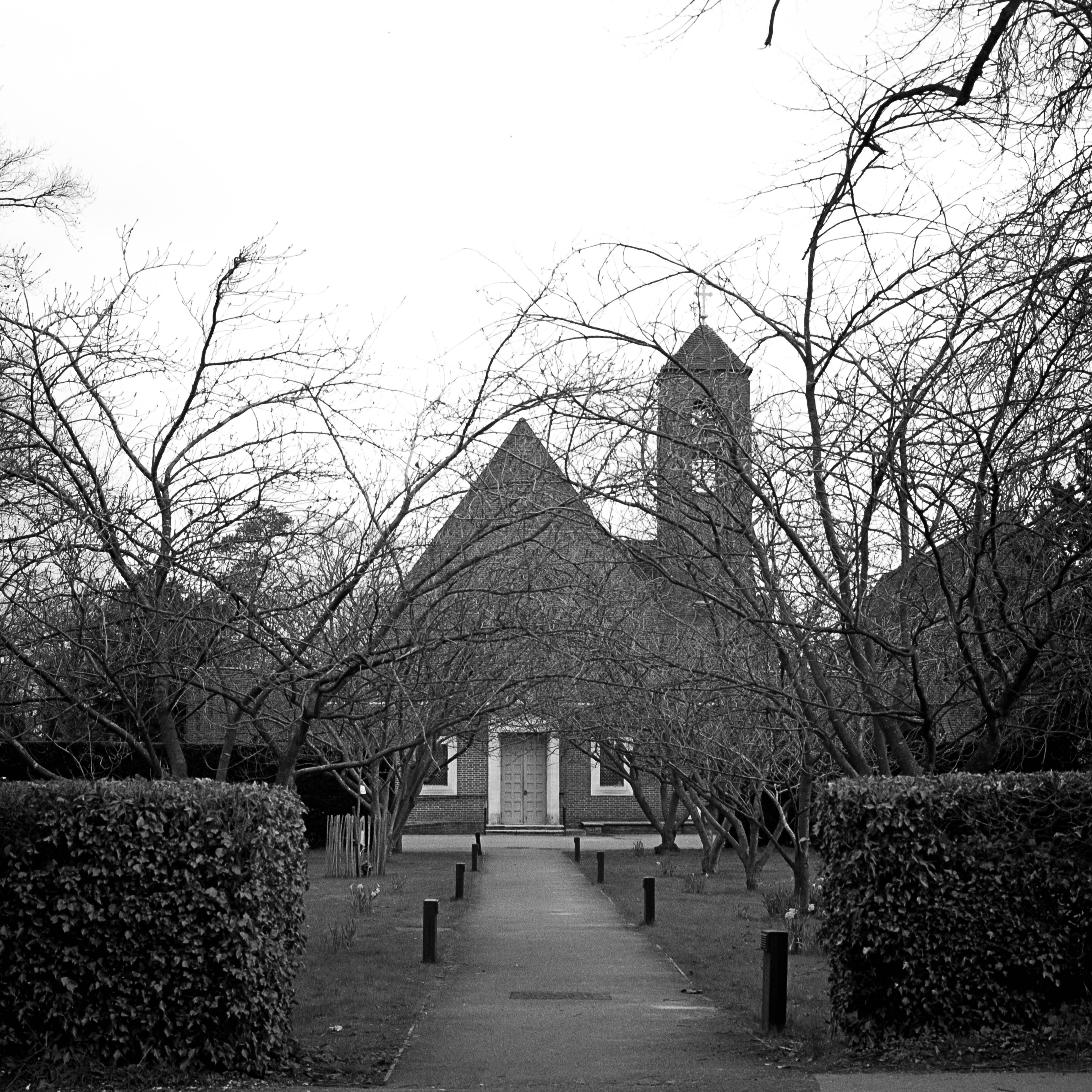 Farnham in the Spring That Wasnt